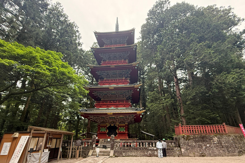 Tokyo: Nikko Private Day Tour with Pickup