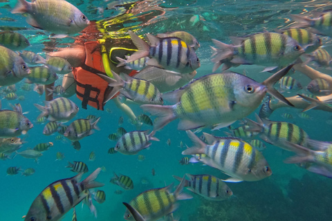 Phuket: PhiPhi 4 Islands Speedboat with Viewpoint Full Day With National Park