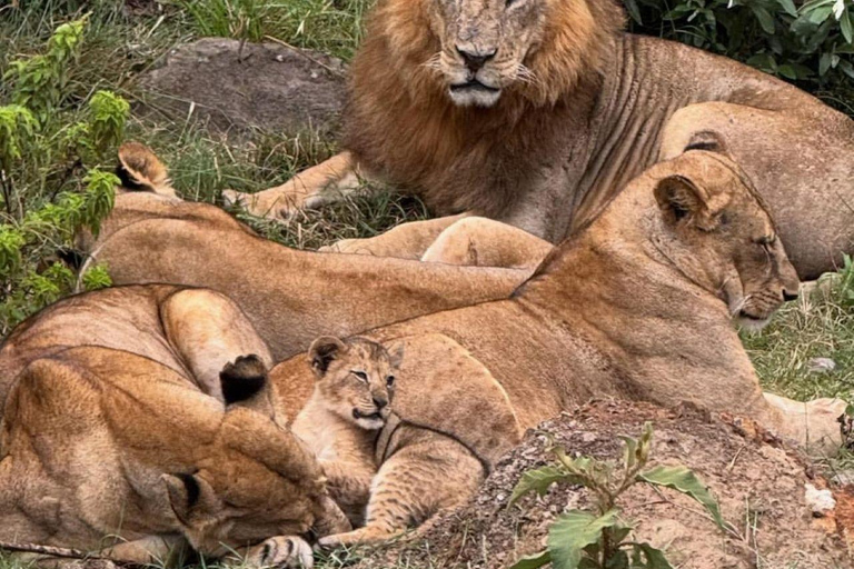 Nairobi: Ol Pejeta Conservancy 2-Day Safari with Meals Private day tour to Ol Pejeta Wildlife Conservancy