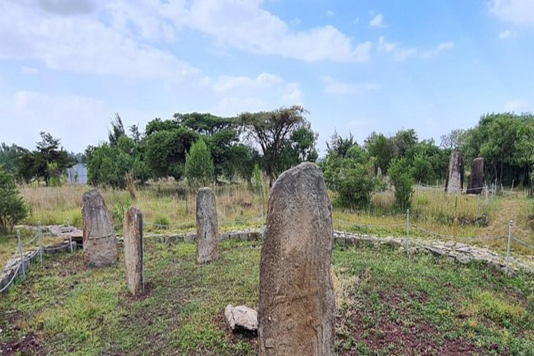 From Addis Ababa: Melka Kunture, Adadi Mariam & Tiya Tour