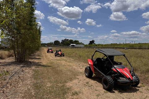 Bamboo Dune Buggy Tour