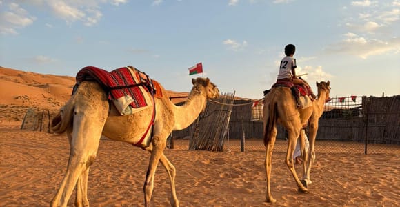 Oman: 4-Day Wadi, Sur, Desert, Nizwa & Muscat Tour