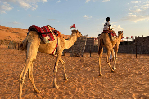 Oman : circuit de 4 jours dans le Wadi, à Sur, dans le désert, à Nizwa et à Mascate