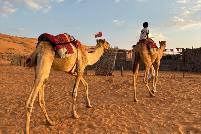 Oman : circuit de 4 jours dans le Wadi, à Sur, dans le désert, à Nizwa et à Mascate