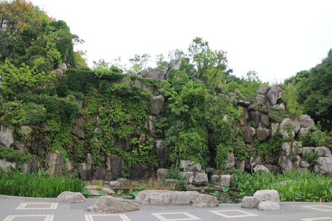 Chengdu: Tai Chi & Kung Fu Class with a Master