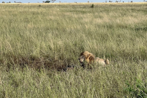 Privédagtrip naar de Ngorongoro-krater