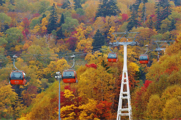 Hokkaido Jozankei Autumn Tour by Private Car & Driver-Guide Alphard Max 5 pax
