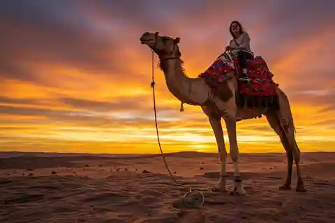 Marrakech: Giro in cammello nel deserto di Agafay, cena e spettacolo del fuoco