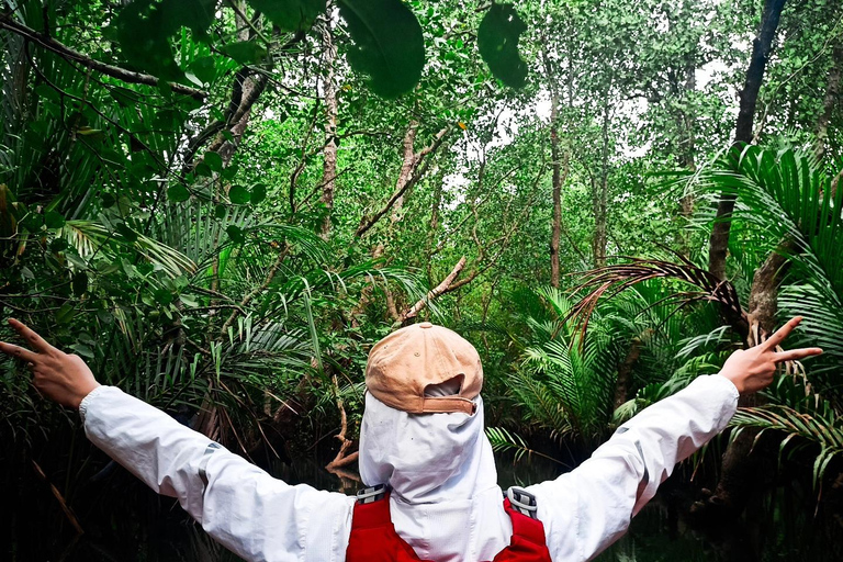From Tagbilaran City/Panglao Island: Bohol Mangrove Kayaking