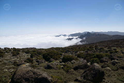 Kilimanjaro: 6-Day Machame Route Tour with Hotel & Transfer