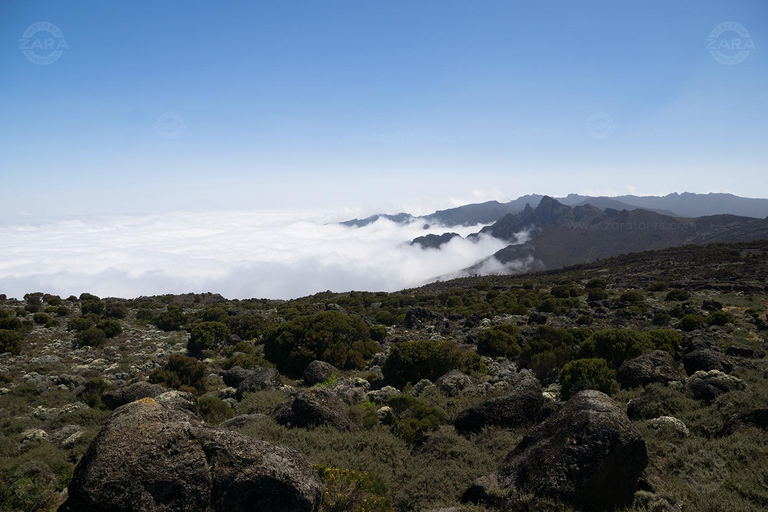 Kilimanjaro: 6-Day Machame Route Tour with Hotel & Transfer