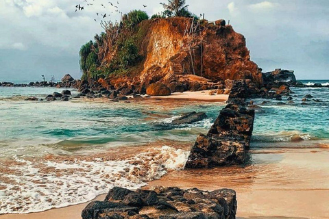 Mirissa Whale Watching, Turtle Snorkeling &Coconut Hill Tour Private Tour from Colombo, Negombo or Mount Lavinia