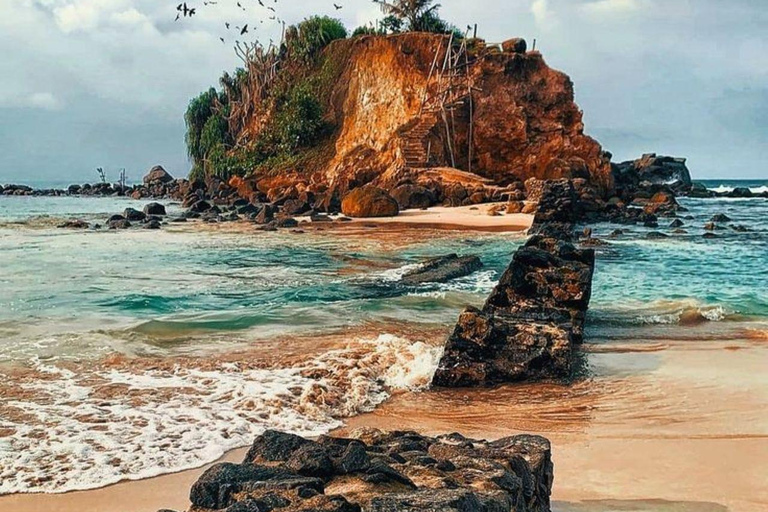 Mirissa Whale Watching, Turtle Snorkeling &Coconut Hill Tour Private Tour from Colombo, Negombo or Mount Lavinia