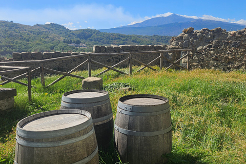 ETNA VILLAGES: OIL & RICOTTA TASTING with Lunch