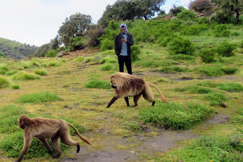 Simien Mountains National Park 2 - Day Trekking Tour