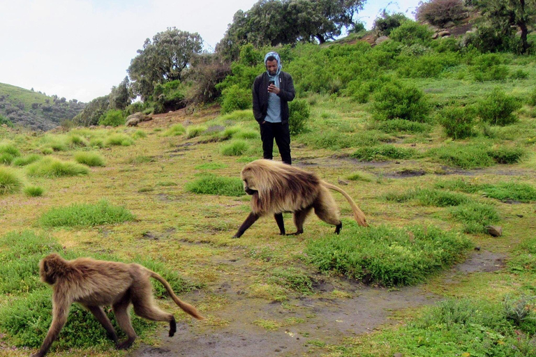 Simien Mountains National Park 2 - Day Trekking Tour