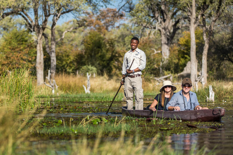 Okavango Delta: Mokoro Canoe Safari with Bush Walk