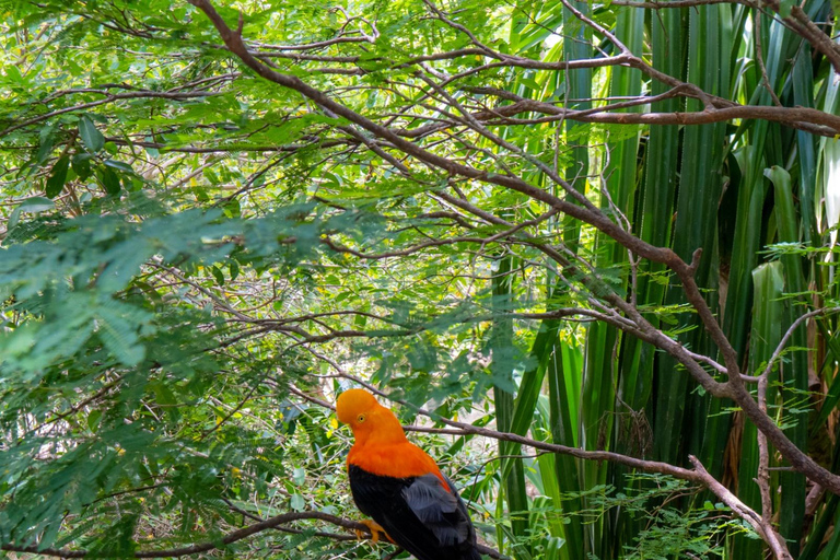 Entdecke den faszinierenden Nationalen Vogelpark auf der Isla Baru Cartagena