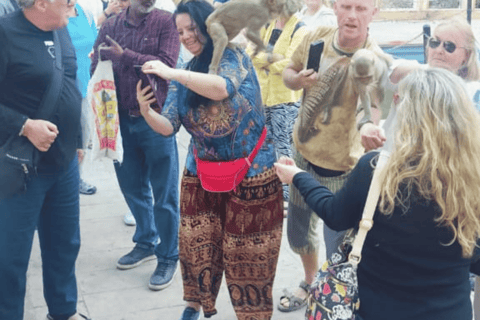 Jaipur: Pink City Heritage Walk with Chai &amp; Local Stories