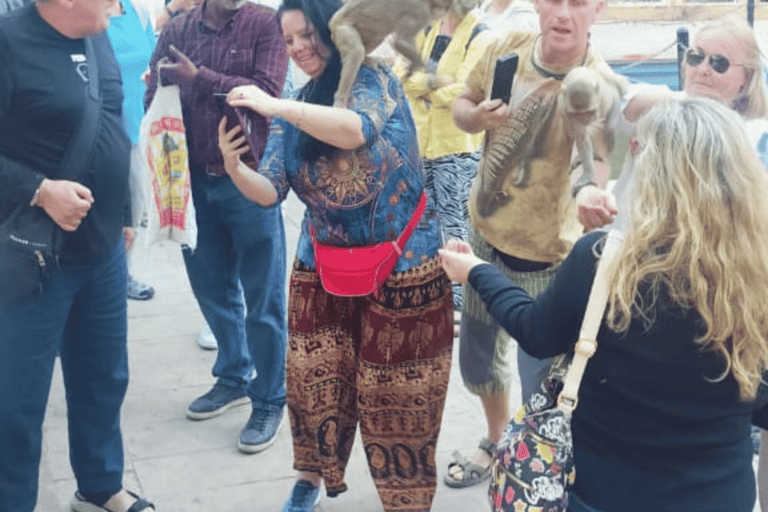 Jaipur: Pink City Heritage Walk with Chai &amp; Local Stories