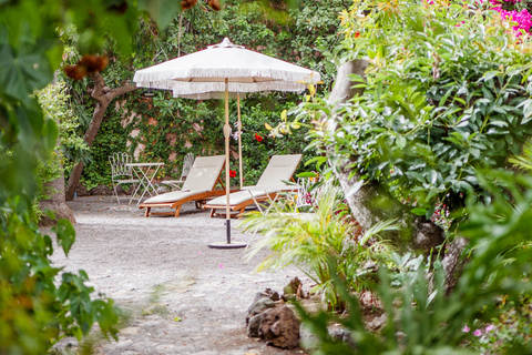 La Palma: Chill stroll through the gardens of Casa Poggio Maldonado with brunch La Palma: Stroll through the gardens of Casa Poggio Maldonado with brunch