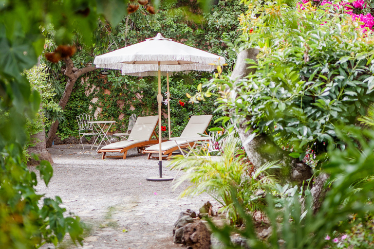 La Palma: Chill stroll through the gardens of Casa Poggio Maldonado with brunch La Palma: Stroll through the gardens of Casa Poggio Maldonado with brunch