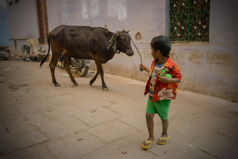 Visite à pied et au patrimoine de Varanasi