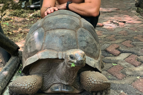 Ciudad de piedra y prisión Isla