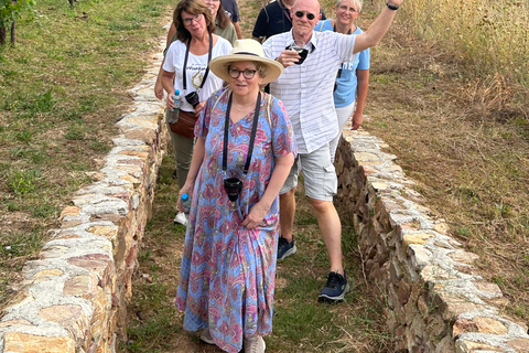 Rüdesheim: Die 0,0 Promille Weinproben Tour