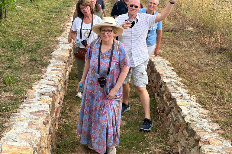 Rüdesheim: Die 0,0 Promille Weinproben Tour