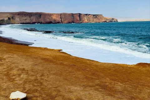 Paracas: visita guiada à Reserva Nacional com transfers