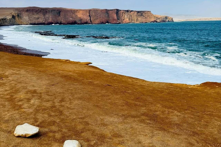 Paracas: visita guiada à Reserva Nacional com transfers