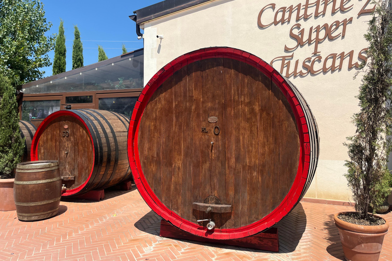 Florence: Pisa, Siena, & San Gimignano Day Trip with Lunch VIP SMALL GROUP