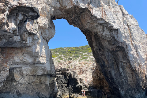 Zakynthos : Tour en bateau privé Île de la Tortue Grottes Mizithres