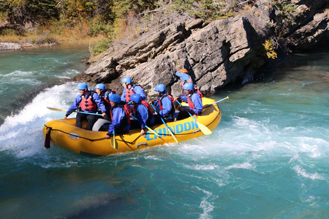 Cusco: Inca Jungle Adventure: 4 dni i 3 noceRegularna przygoda w dżungli Inków: 4 dni i 3 noce