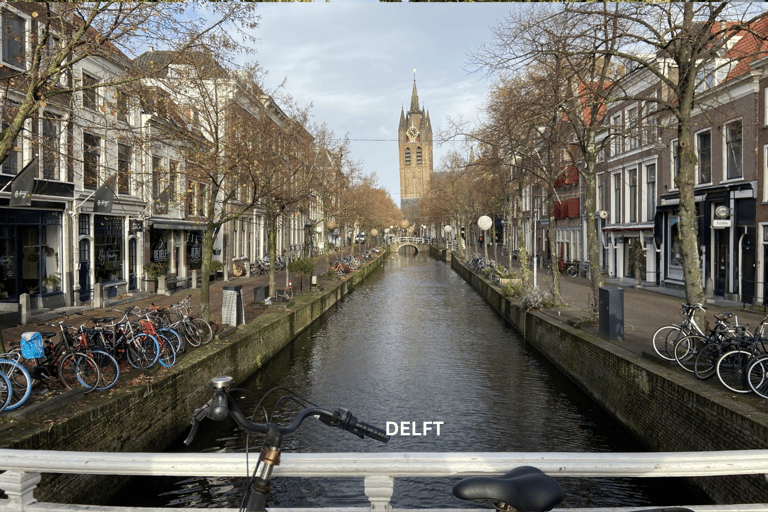 Rotterdam y Delft Tour a pie diario