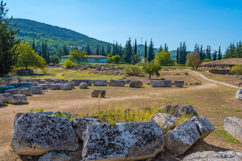 Visite privée de luxe : Sites antiques de Némée et dégustation de vin