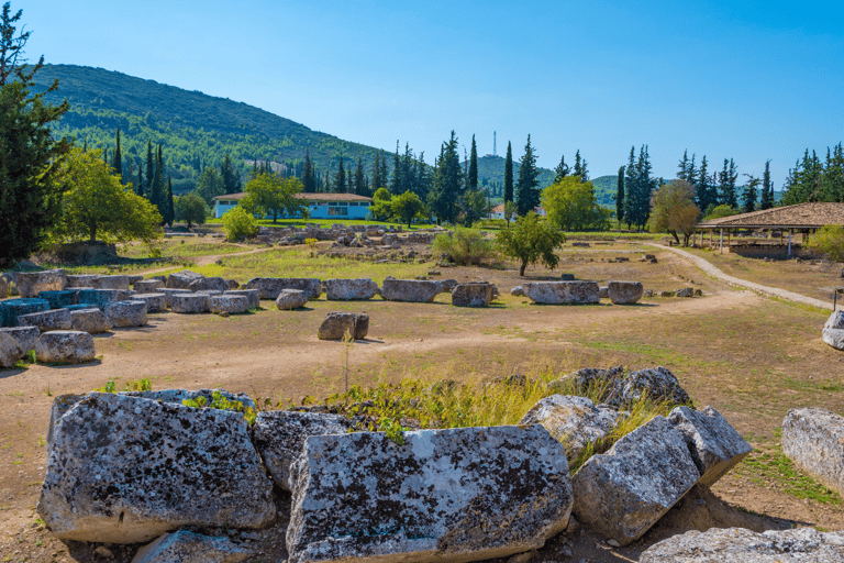Visite privée de luxe : Sites antiques de Némée et dégustation de vin