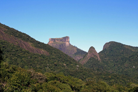Rio: Christ the Redeemer and Tijuca Forest Tour