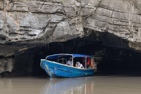 Langkawi: Kilim Geoforest Park Mangrove Boat Tour - 3 Hour