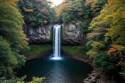 Osaka: Guidad tur till Cup Noodles Museum och Minoh Park