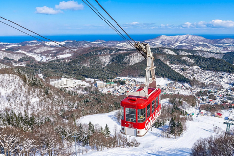 Sapporo: Hill of the Buddha, Otaru Canal&Mt. Tengu Panoramas