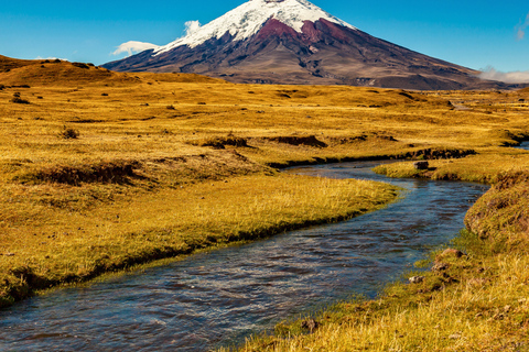 Quito: Private Cotopaxi National Park & Pasochoa Wildlife