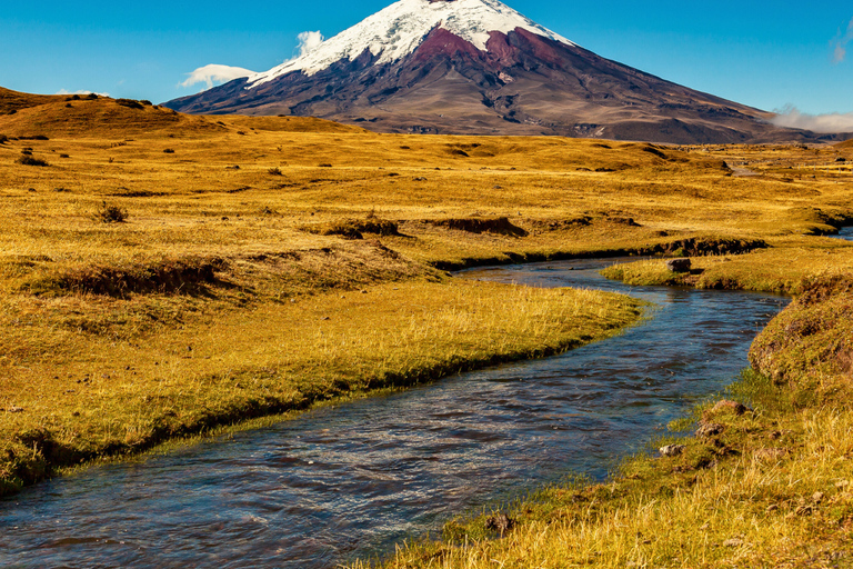 Quito: Private Cotopaxi National Park & Pasochoa Wildlife