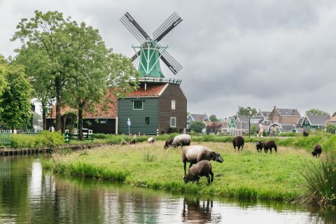 Amsterdam: Zaanse Schans met kaasproeverij & klompenmakerij