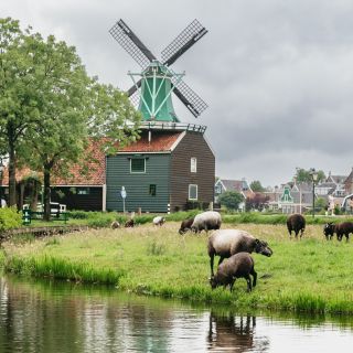 Amsterdam: Zaanse Schans ja juustonmaistajaiset ja tukkitehdas