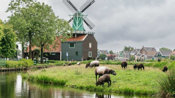 Ámsterdam: Zaanse Schans, cata de queso y fábrica de zuecos