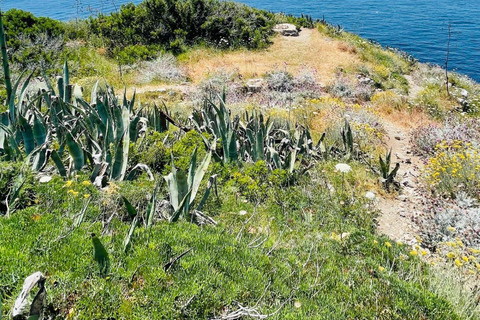 SORRENTO AMALFI COAST: TREKKING AND OVERNIGHT IN NERANO BAY BAY OF NERANO: hiking guide trekking and overnight in Nerano