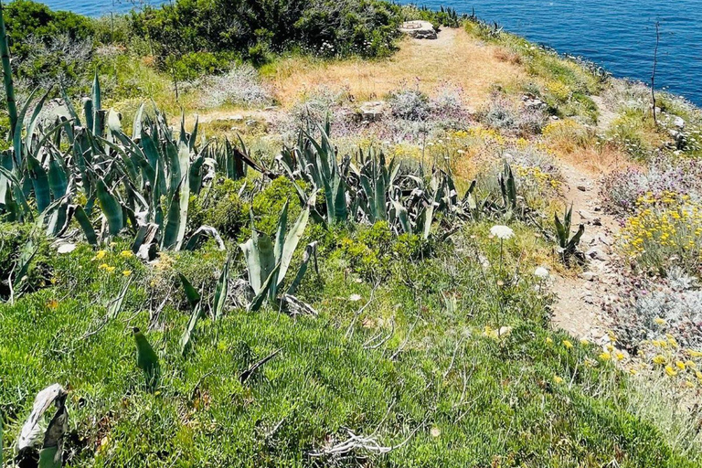 SORRENTO AMALFI COAST: TREKKING AND OVERNIGHT IN NERANO BAY BAY OF NERANO: hiking guide trekking and overnight in Nerano