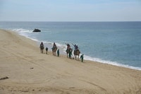 Cabo, Camel Ride On The Beach - Housity